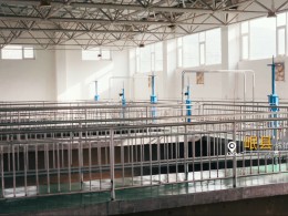 我司阿拉善左旗機場項目開啟“加速鍵”，全力沖刺建設新里程